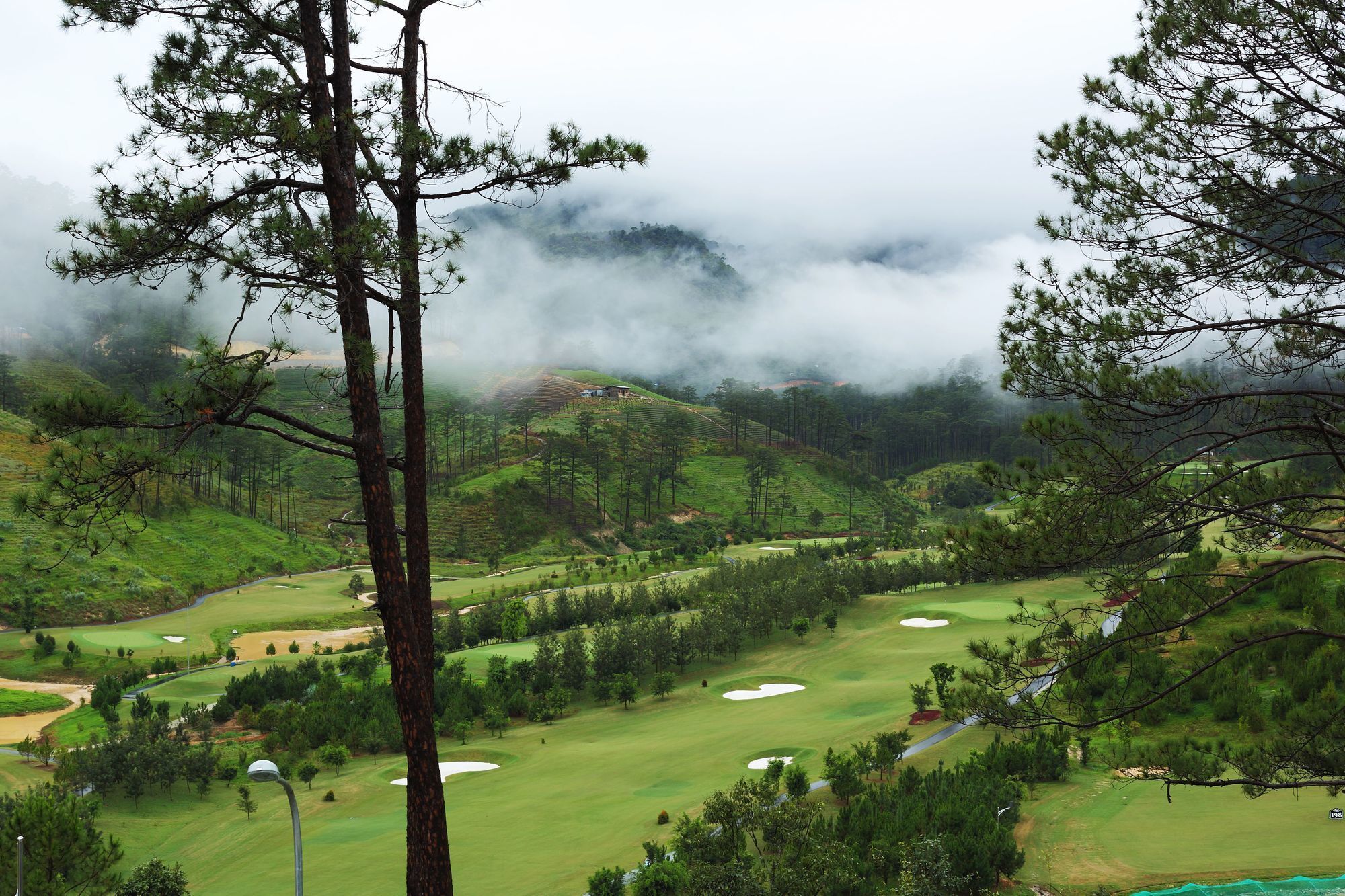 Sam Tuyen Lam Golf & Resorts Νταλάτ Εξωτερικό φωτογραφία